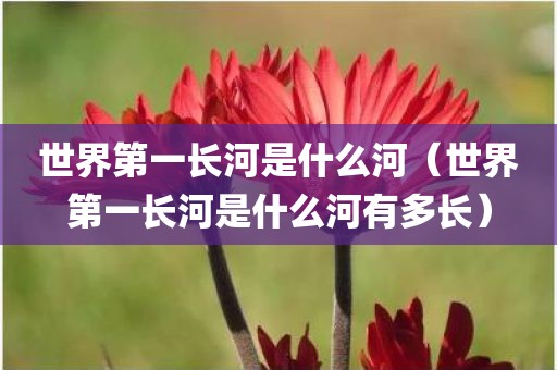 世界第一长河是什么河（世界第一长河是什么河有多长）