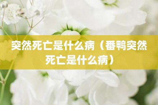 突然死亡是什么病（番鸭突然死亡是什么病）
