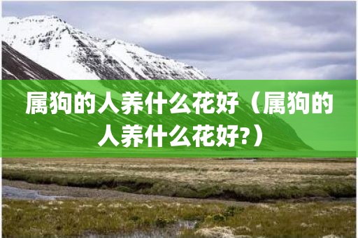 属狗的人养什么花好（属狗的人养什么花好?）
