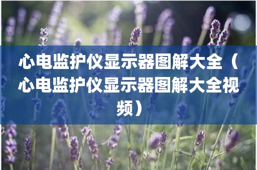 心电监护仪显示器图解大全（心电监护仪显示器图解大全视频）
