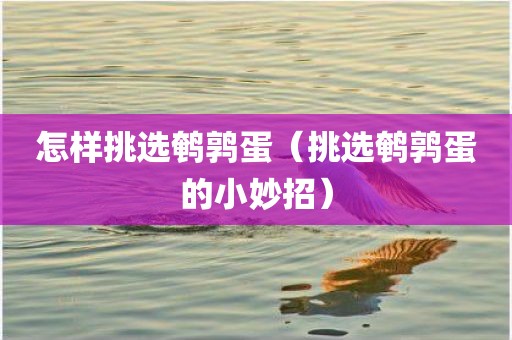怎样挑选鹌鹑蛋（挑选鹌鹑蛋的小妙招）