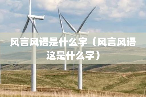 风言风语是什么字（风言风语这是什么字）