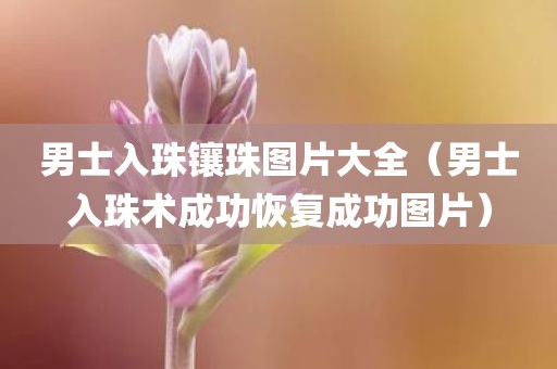 男士入珠镶珠图片大全（男士入珠术成功恢复成功图片）