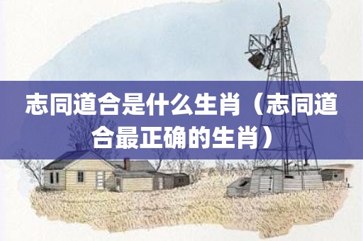 志同道合是什么生肖（志同道合最正确的生肖）