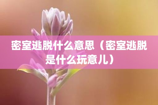 密室逃脱什么意思（密室逃脱是什么玩意儿）