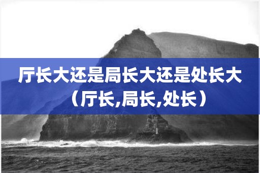 厅长大还是局长大还是处长大(厅长,局长,处长)
