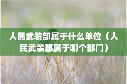 人民武装部属于什么单位（人民武装部属于哪个部门）