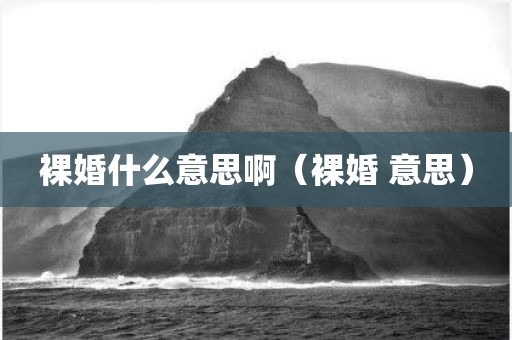 裸婚什么意思啊（裸婚 意思）