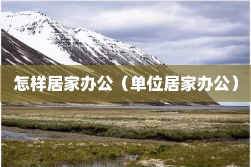怎样居家办公（单位居家办公）