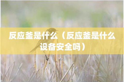 反应釜是什么（反应釜是什么设备安全吗）