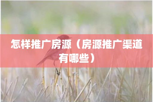 怎样推广房源（房源推广渠道有哪些）