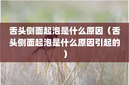 舌头侧面起泡是什么原因(舌头侧面起泡是什么原因引起的)