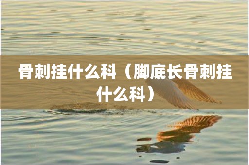 骨刺挂什么科（脚底长骨刺挂什么科）