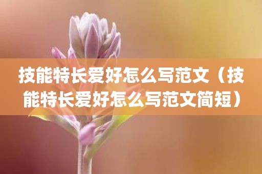 技能特长爱好怎么写范文(技能特长爱好怎么写范文简短)