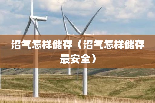沼气怎样储存（沼气怎样储存最安全）