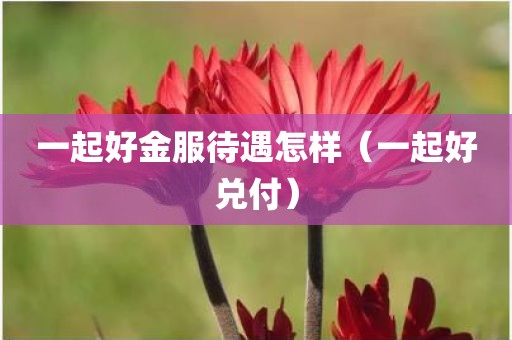 一起好金服待遇怎样（一起好兑付）