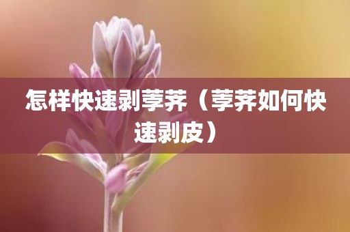 怎样快速剥荸荠（荸荠如何快速剥皮）