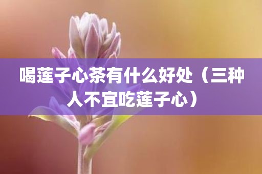 喝莲子心茶有什么好处（三种人不宜吃莲子心）