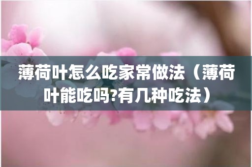 薄荷叶怎么吃家常做法（薄荷叶能吃吗?有几种吃法）