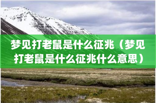 梦见打老鼠是什么征兆（梦见打老鼠是什么征兆什么意思）
