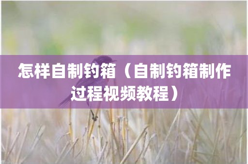 怎样自制钓箱（自制钓箱制作过程视频教程）