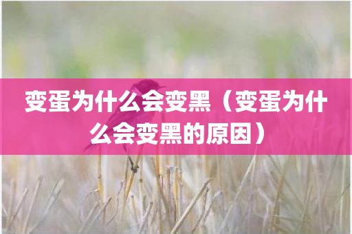 变蛋为什么会变黑（变蛋为什么会变黑的原因）