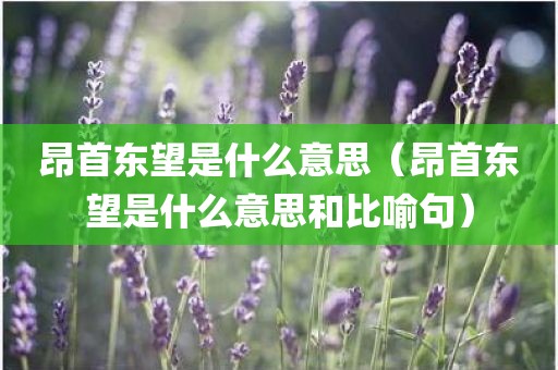 昂首东望是什么意思（昂首东望是什么意思和比喻句）