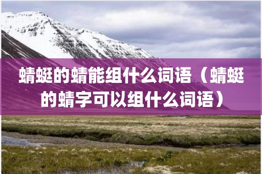蜻蜓的蜻能组什么词语(蜻蜓的蜻字可以组什么词语)