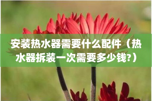 安装热水器需要什么配件（热水器拆装一次需要多少钱?）
