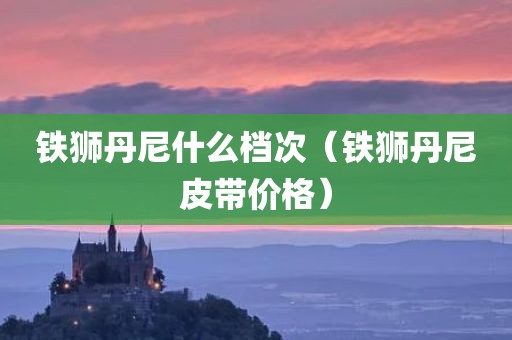 铁狮丹尼什么档次（铁狮丹尼皮带价格）