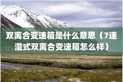 双离合变速箱是什么意思（7速湿式双离合变速箱怎么样）