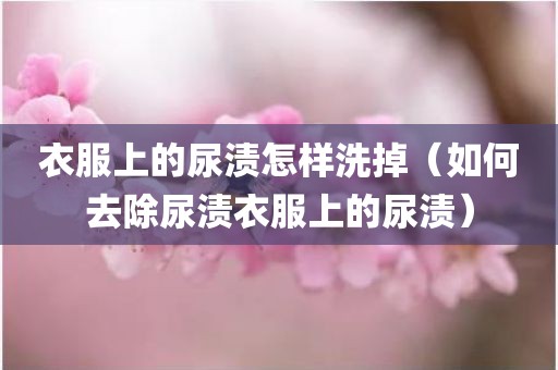 衣服上的尿渍怎样洗掉(如何去除尿渍衣服上的尿渍) 衣服上的尿渍怎样洗掉(如何去除尿渍衣服上的尿渍)