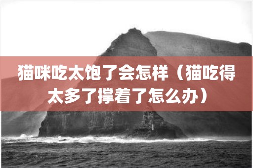猫咪吃太饱了会怎样（猫吃得太多了撑着了怎么办）