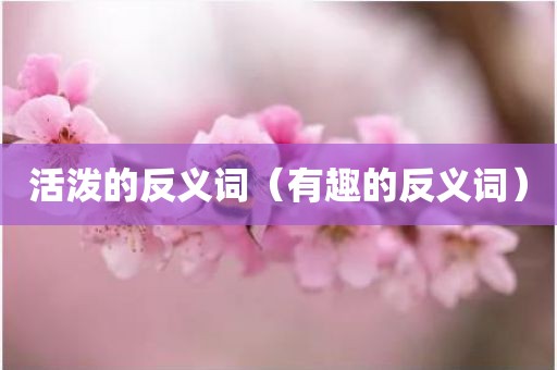 活泼的反义词(有趣的反义词)