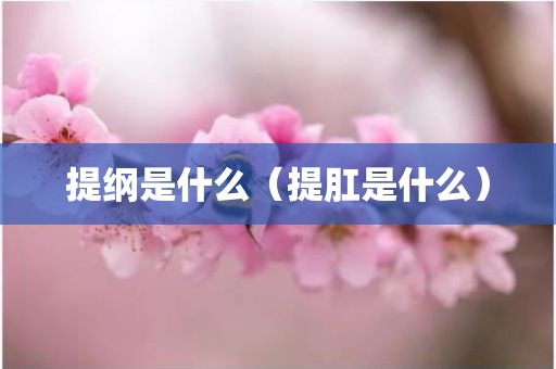 提纲是什么（提肛是什么）