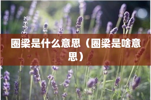 圈梁是什么意思（圈梁是啥意思）
