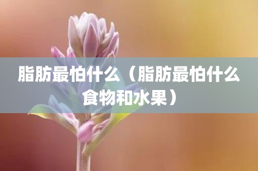 脂肪最怕什么（脂肪最怕什么食物和水果）
