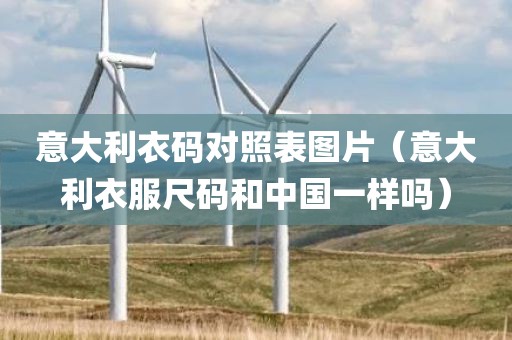 意大利衣码对照表图片（意大利衣服尺码和中国一样吗）