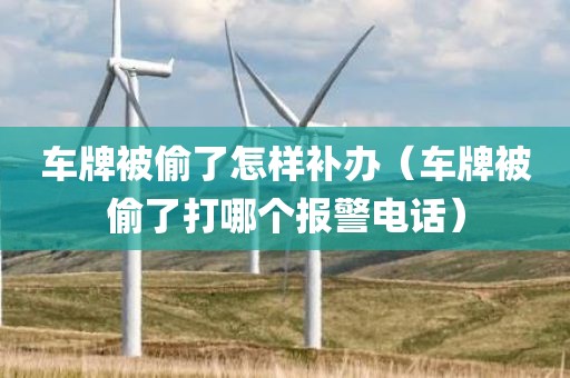 车牌被偷了怎样补办（车牌被偷了打哪个报警电话）