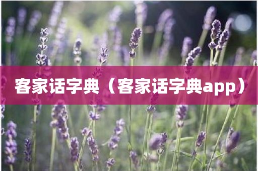 客家话字典(客家话字典app)