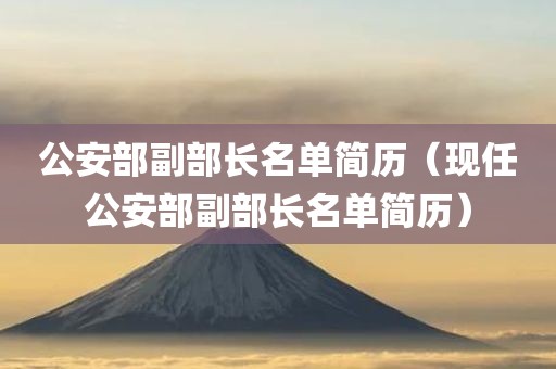 公安部副部长名单简历（现任公安部副部长名单简历）