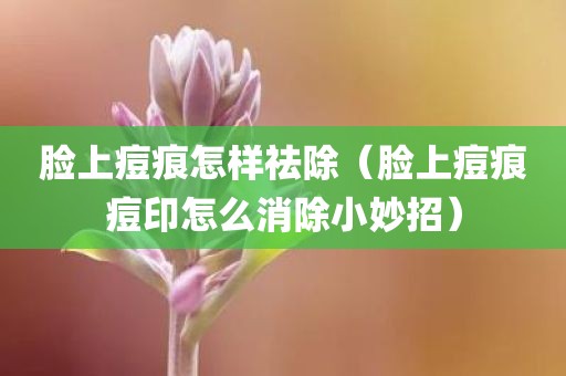 脸上痘痕怎样祛除（脸上痘痕痘印怎么消除小妙招）