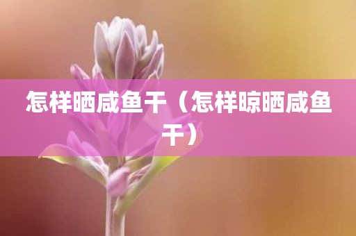 怎样晒咸鱼干（怎样晾晒咸鱼干）