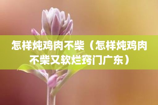 怎样炖鸡肉不柴(怎样炖鸡肉不柴又软烂窍门广东) 怎样炖鸡肉不柴(怎样炖鸡肉不柴又软烂窍门广东)