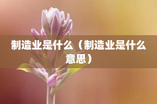 制造业是什么（制造业是什么意思）