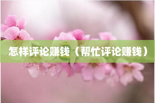 怎样评论赚钱（帮忙评论赚钱）
