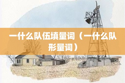 一什么队伍填量词（一什么队形量词）