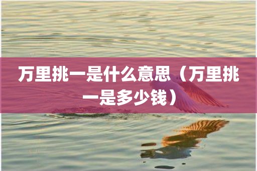 万里挑一是什么意思(万里挑一是多少钱)