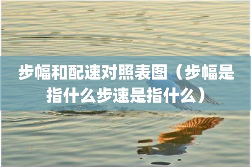 步幅和配速对照表图（步幅是指什么步速是指什么）