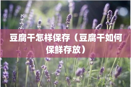 豆腐干怎样保存（豆腐干如何保鲜存放）